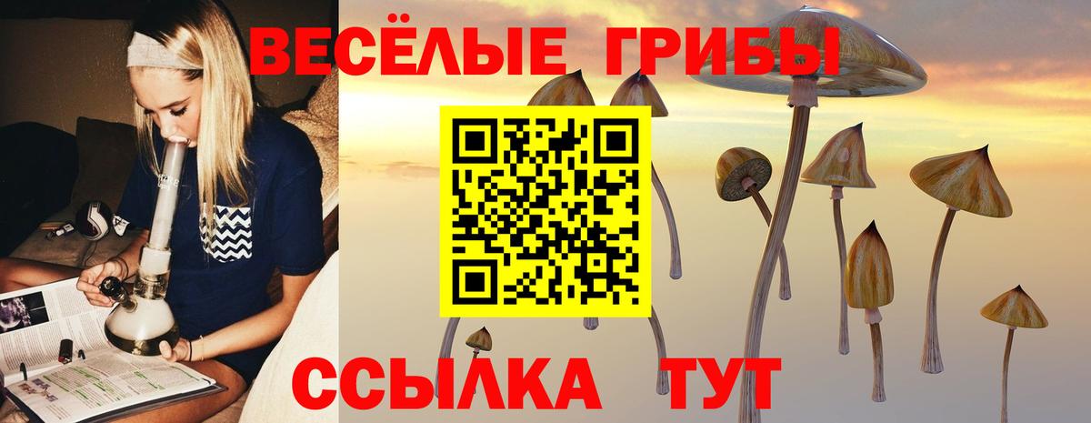 Псилоцибиновые грибы мухоморы  хочу   Вход с VPN  Заречный  Псилоцибиновые грибы MAGIC MUSHROOMS 